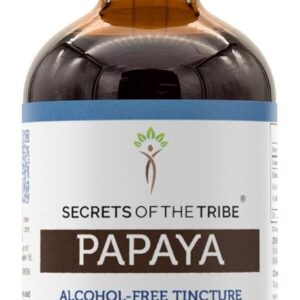 Extrato Líquido de Papaya Sem Álcool Secrets of the Tribe - Folha Seca de Carica Papaya 120ml