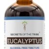 Extrato Líquido de Eucalipto Sem Álcool Secrets of the Tribe - Suporte Natural à Respiração e Imunidade
