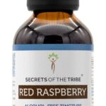 Extrato de Folha de Framboesa Vermelha Sem Álcool Secrets of the Tribe - 120ml - Produto Natural e Puro - 6