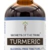 Tinture de Cúrcuma Orgânica USDA 120ml - Extrato Sem Álcool para Saúde e Bem-Estar