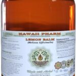 Extrato Líquido de Erva-cidreira Hawaii Pharm - 60ml Sem Álcool para Relaxamento Natural - 5