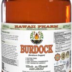 Extrato Líquido de Bardana Hawaii Pharm - 60ml sem Álcool para Saúde Natural - 6