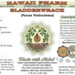 Extrato de Algas Marinhas Bladderwrack Hawaii Pharm - Glicerina Natural Sem Álcool 60ml - 2