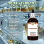 Tinctura de Flor de Crisântemo (Chrysanthemum Morifolium) - Itens Naturais e Veganos para Saúde do Coração e Circulação - 4