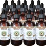 Hawaii Pharm Extrato Líquido de Genciana Sem Álcool - Suplemento Natural 60ml - 6