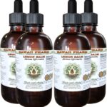 Extrato Líquido de Erva-cidreira Hawaii Pharm - 60ml Sem Álcool para Relaxamento Natural - 6