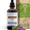 Tinture de Bugleweed Sem Álcool Secrets of the Tribe - Extrato Orgânico 120ml para Saúde Natural