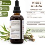 Extrato Líquido de Casca de Salgueiro Branco - Suporte Articular e Recuperação Muscular 120ml - 4