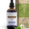 Extrato de Raiz de Sangue Sem Álcool Secrets of the Tribe - 4 fl oz de Saúde Natural e Purificada