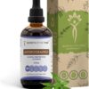 Extrato Líquido de Andrographis Sem Álcool - Suporte Imunológico e Antioxidante 120ml
