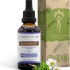 Extrato de Raiz de Sangue Sem Álcool Secrets of the Tribe - Suplemento Natural e Orgânico (60ml)