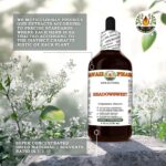 Extrato Líquido de Folhas Secas de Meadowsweet - Conforto e Mobilidade Articular Natural 118ml - 5
