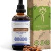 Tinture de Cryptolepis Sanguinolenta - Extrato Herbal Sem Álcool de Alta Potência