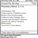 Extrato Glicerinado Sem Álcool Secrets of the Tribe - Suporte à Função Renal com Ingredientes Naturais - 4