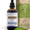 Extrato de Folha de Dente-de-Leão Orgânico Secrets of the Tribe - 120ml | Suporte Natural para Digestão e Saúde Hepática