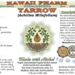 Extrato Líquido de MilFolhas Hawaii Pharm - Suplemento Natural Sem Álcool 60ml - 2