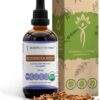 Tintura de Raiz de Echinacea Orgânica USDA - Extrato Sem Álcool para Saúde Imunológica