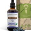 Tintura Glicerina Blue Cohosh Secrets of the Tribe - Suporte à Saúde da Mulher 659mg