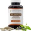 Bugleweed Secrets of the Tribe 600mg - Erva Natural para Bem-Estar e Equilíbrio