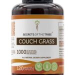 Couchgrass Elymus repens 120 Cápsulas - Suplemento Natural para Saúde do Trato Urinário