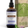 Extrato Líquido de Erva Prunella Vulgaris - Autocura Sem Álcool 120ml - Secrets of the Tribe
