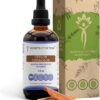 Extrato Líquido de Canela Ceylon Sem Álcool - Secrets of the Tribe 118ml para Saúde Cardiovascular