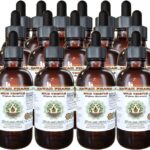 Extrato Líquido de Cardo Marinho Hawaii Pharm - 120ml, Alta Potência e Sem Álcool para Saúde Hepática - 7