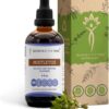 Tintureira de Mistletoe Sem Álcool Secrets of the Tribe - Extrato Líquido Natural de Viscum Album 120ml