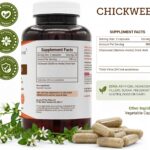 Cápsulas Vegetais de Chicória 800mg - Suporte para Saúde da Pele e Antioxidantes - 3