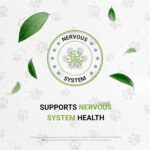 Wolf's Anxiety | Suplemento Herbal Natural para Cães - Alívio do Estresse e Saúde Nervosa - 6