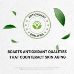 Extrato Líquido de Chaparral Sem Álcool Secrets of the Tribe - Suporte Antioxidante e Bem-Estar Físico - 5