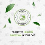 Lion's Kidney - Suplemento Herbal Natural para Saúde Renal de Gatos com Extrato Sem Álcool - 5