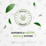 Lion's Anxiety - Suplemento Natural para Alívio do Estresse em Gatos com Ervas Calmantes - 7