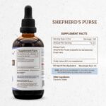 Extrato Sem Álcool de Bolsa de Pastor Secrets of the Tribe - Alta Potência em Ervas Naturais 120ml - 4