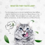 Lion's Anxiety - Suplemento Natural para Alívio do Estresse em Gatos com Ervas Calmantes - 4