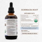 Tintura de Raiz de Echinacea Orgânica USDA - Extrato Sem Álcool para Saúde Imunológica - 4