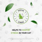 Lion's Anxiety - Suplemento Natural para Alívio do Estresse em Gatos com Ervas Calmantes - 5