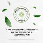 Cápsulas de Verbena Azul Secrets of the Tribe - 1000mg para Relaxamento e Bem-estar - 5
