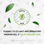 Wolf's Joints - Suporte Natural para Articulações Saudáveis em Cães com Extrato Herbal - 6