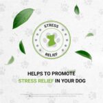 Wolf's Anxiety | Suplemento Herbal Natural para Cães - Alívio do Estresse e Saúde Nervosa - 5