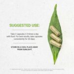 Folha de Senna Orgânica USDA Secrets of the Tribe - 120 Cápsulas Vegetarianas para Saúde Digestiva - 3