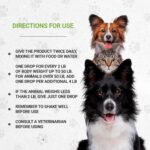 Lion's Anxiety - Suplemento Natural para Alívio do Estresse em Gatos com Ervas Calmantes - 2