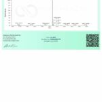 Glutationa Pure Health Peptides 600mg - Potencialize sua Saúde Celular e Antioxidante - 5