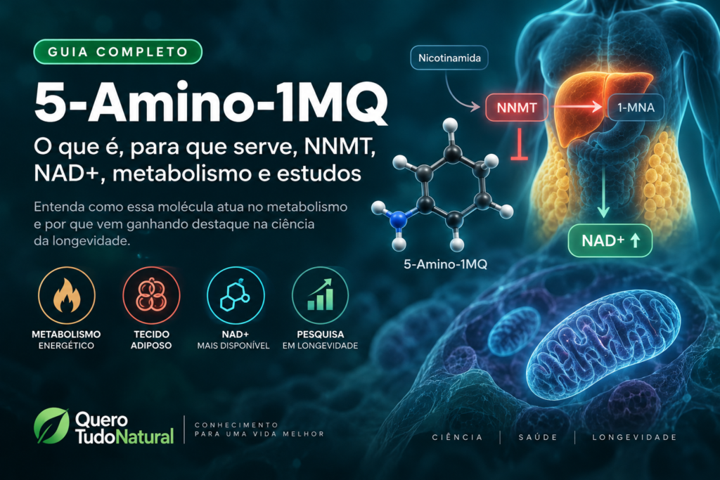 5-Amino-1MQ: O Que É, Para Que Serve, NNMT, NAD+, Metabolismo e Estudos 1 5-Amino-1MQ: O Que É, Para Que Serve, NNMT, NAD+, Metabolismo e Estudos