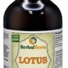 Extrato Líquido de Sementes de Lótus (Nelumbo nucifera) - Glicerina Vegetal Sem Álcool 120ml