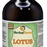 Extrato Líquido de Sementes de Lótus (Nelumbo nucifera) - Glicerina Vegetal Sem Álcool 120ml - 2