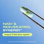 Cata-Kor Liposomal NAD com Resveratrol - Suplemento Avançado para Energia Celular e Função Mitocondrial - 7