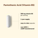 Ácido Pantotênico Micro Ingredients 500mg - Suplemento de Vitamina B5 para Energia e Saúde Metabólica - 3