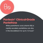 ARG Pantethine 660 mg - Suplemento de Metabolismo com Vitamina B5 para Energia e Saúde Metabólica - 4