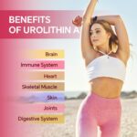 Urolithin A FKOOO - Suplemento Antienvelhecimento e Aumento de Energia Celular - 3